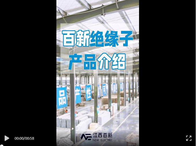 百新絕緣子來了！